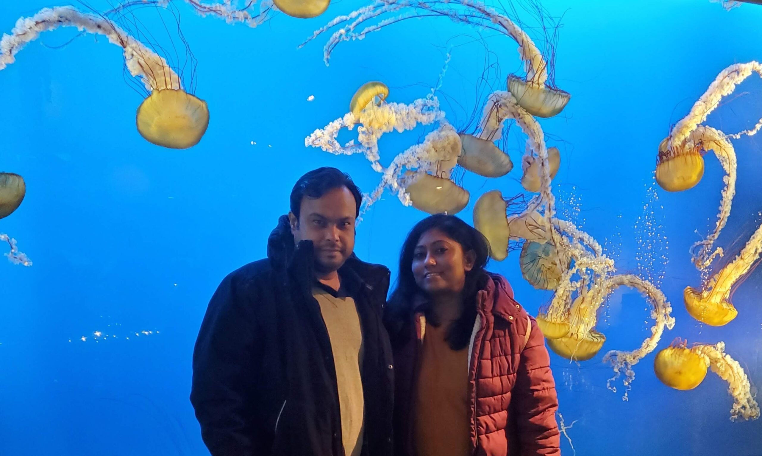 Help Moumita and Saurabh fulfill their IVF dreams — photo 1 of 1