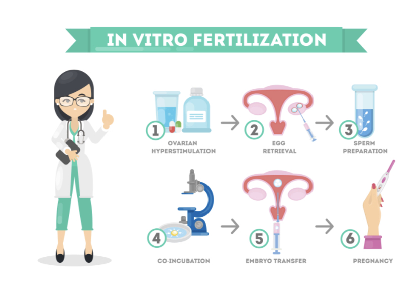 IVF PGT test & donor sperm — photo 1 of 1