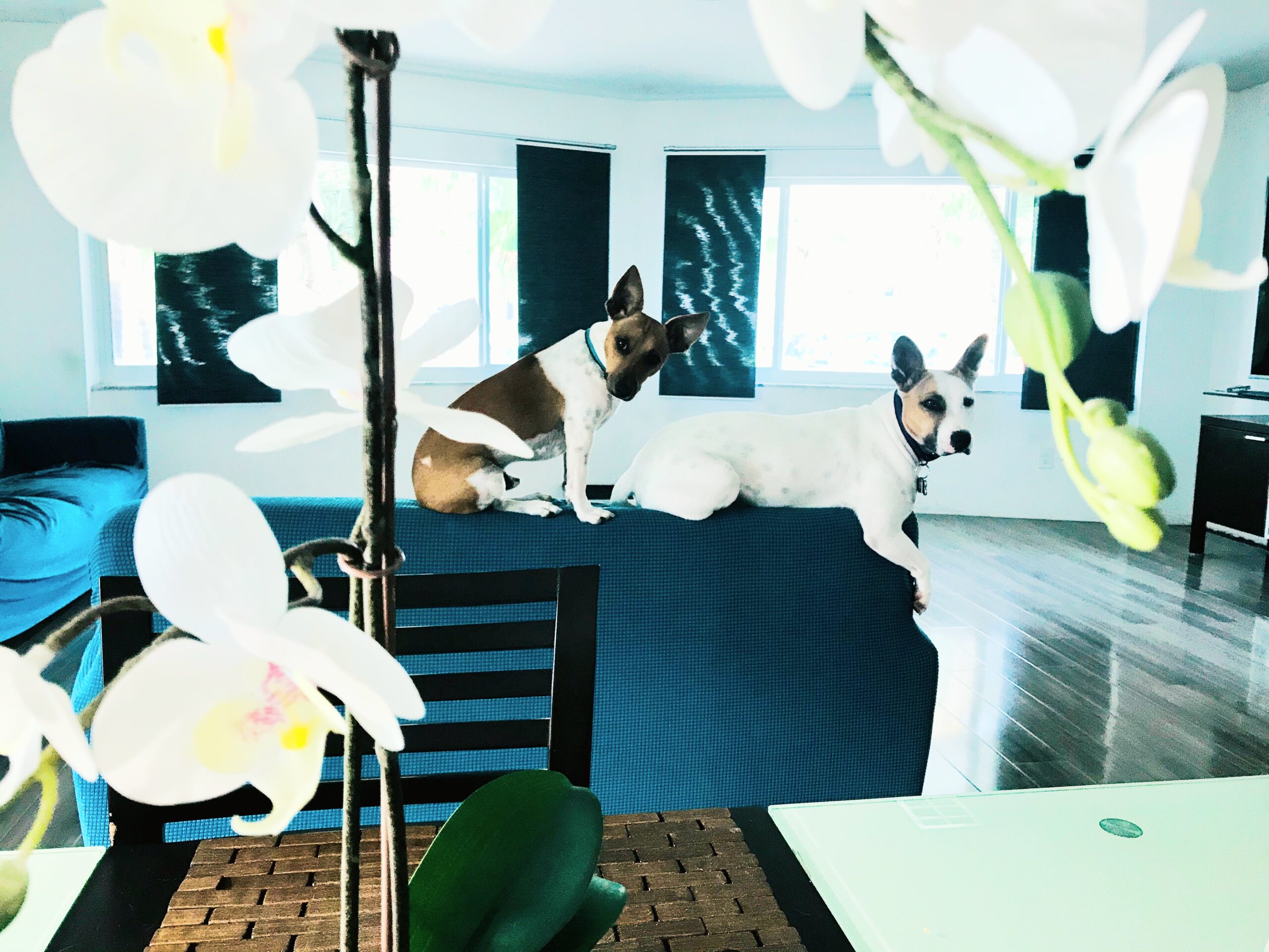 Help my husband and I start our family. — photo 1 of 1