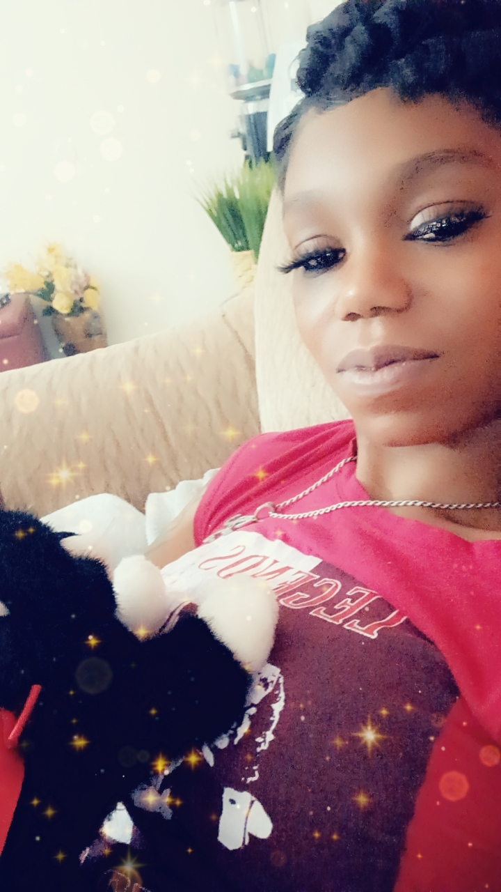 Help give kitty her own kitten — photo 1 of 2
