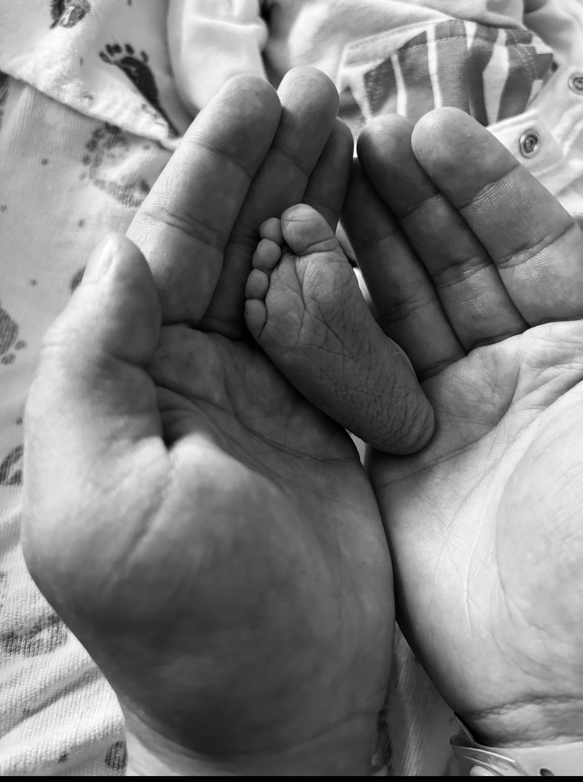 IVF Journey After Loss — photo 1 of 1