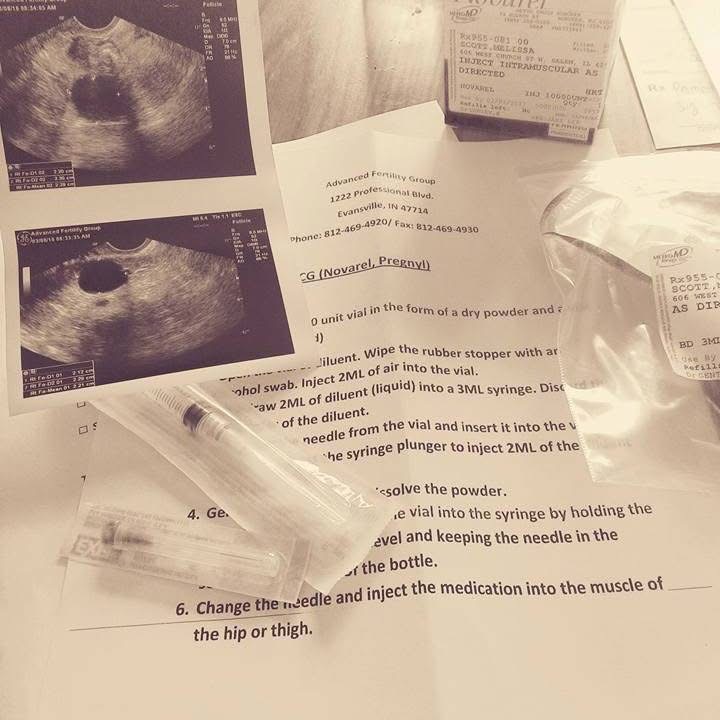 Our Journey through Infertility — photo 1 of 1